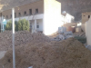 al-estiqlal-01
