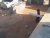Picture04