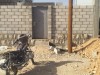 Picture06